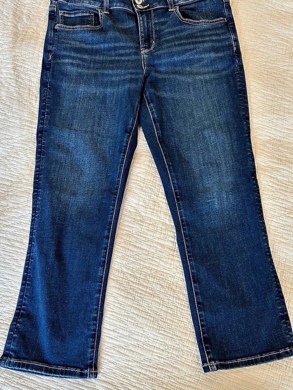 American Eagle Artist cropped size 12